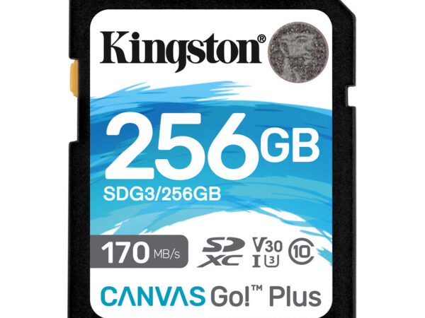 Kingston Technology Canvas Go! Plus Scheda SDXC Canvas Go Plus 170R C10 UHS-I U3 V30 da 256GB