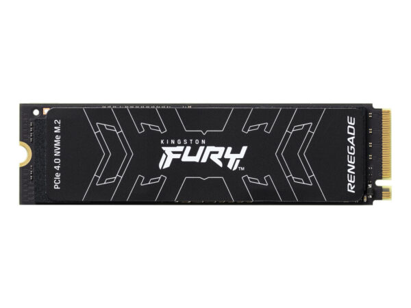 Kingston Technology 4000G FURY RENEGADE M.2 2280 NVMe SSD