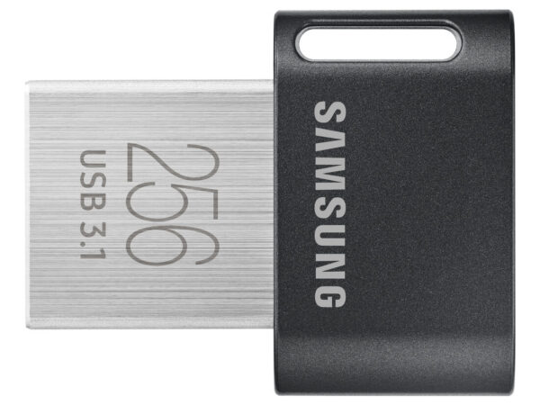 Samsung MUF-256AB unità flash USB 256 GB USB tipo A 3.2 Gen 1 (3.1 Gen 1) Grigio, Argento