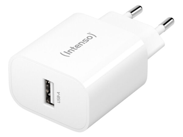 Intenso 1x USB-A Adapter weiß Universale Bianco AC Interno