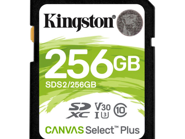 Kingston Technology Scheda SDXC Canvas Select Plus 100R C10 UHS-I U3 V30 da 256GB