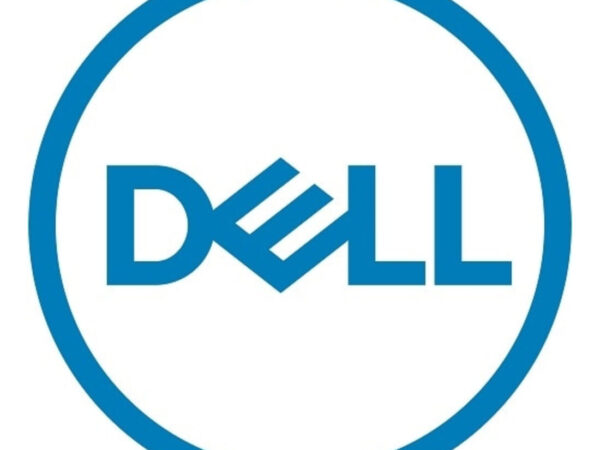 DELL 400-BPWV drives allo stato solido 960 GB M.2 NVMe