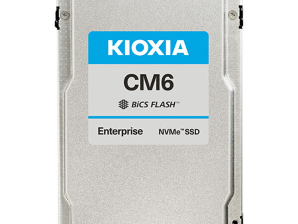 Kioxia KCM6XVUL1T60 drives allo stato solido 1,6 TB 2.5" PCI Express 4.0 NVMe 3D TLC