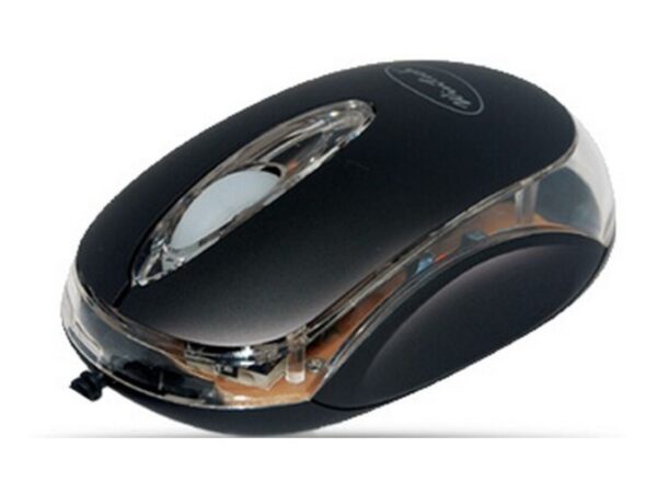 Wintech M-1018B mouse USB tipo A Ottico 800 DPI