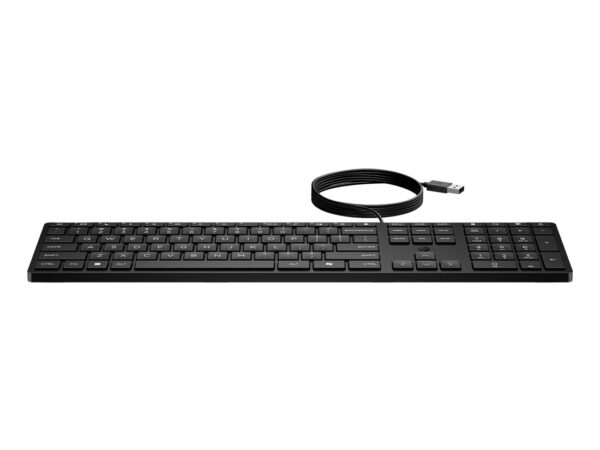 HP Tastiera Wired Desktop 320K
