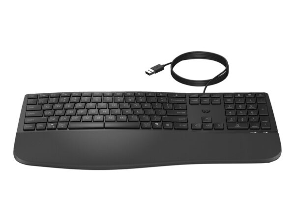 HP Tastiera cablata 480 Comfort