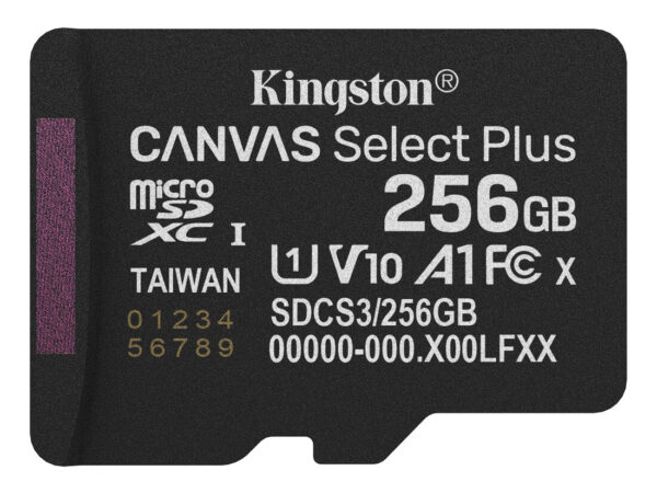 Kingston Technology 256GB micSDXC Canvas Select Plus Gen3 150R A1 (Adattatore SD non incluso)