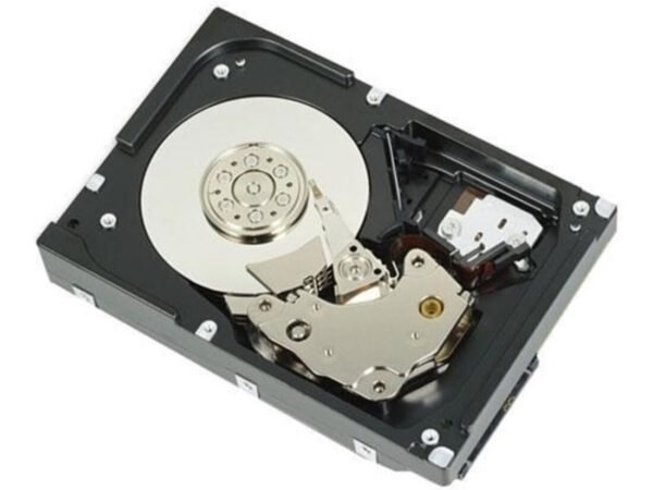 DELL 161-BBFN disco rigido interno 12 TB 7200 Giri/min 3.5" SAS