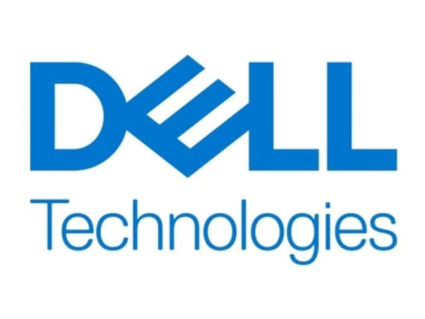 DELL 345-BKBP drives allo stato solido 1,6 TB U.2 NVMe