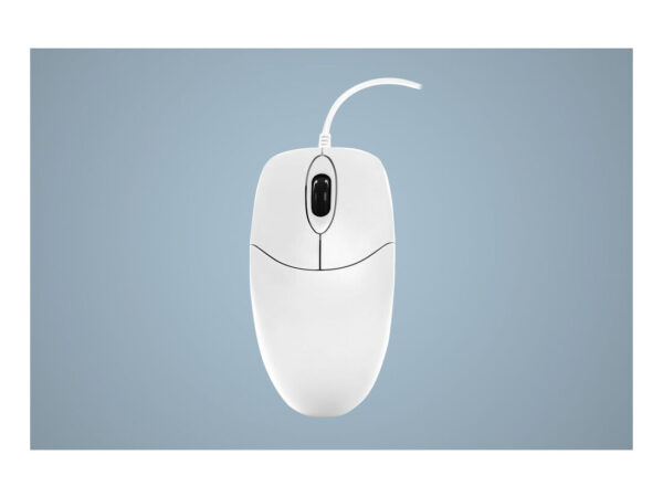 Active Key AK-PMJ1 mouse Ufficio Ambidestro USB tipo A Ottico 1000 DPI