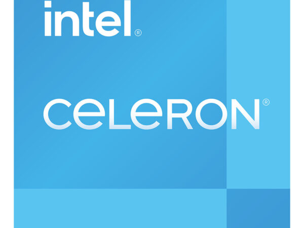 Intel Celeron G6900TE processore 4 MB Cache intelligente