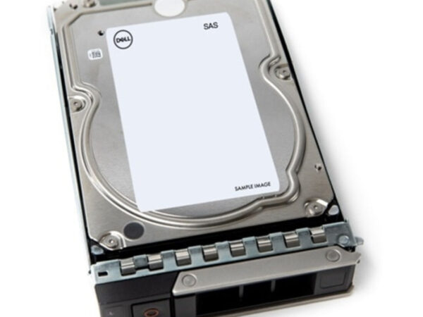 DELL 161-BCFT disco rigido interno 4 TB 7200 Giri/min 3.5" SAS