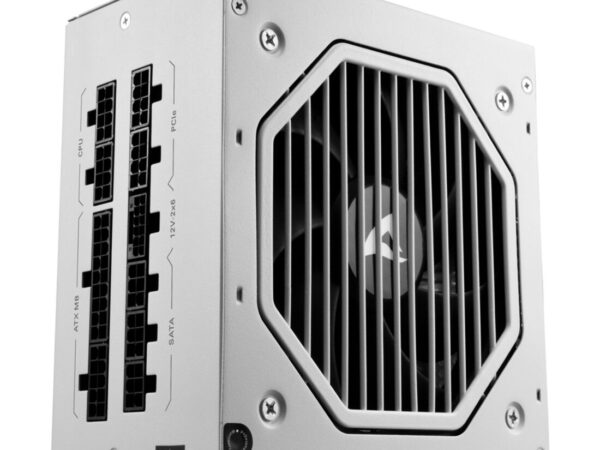 Sharkoon Rebel P20 alimentatore per computer 850 W 24-pin ATX ATX Bianco