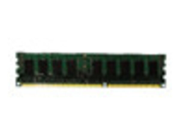 Lenovo ThinkServer 4GB PC3-10600 DDR3 memoria