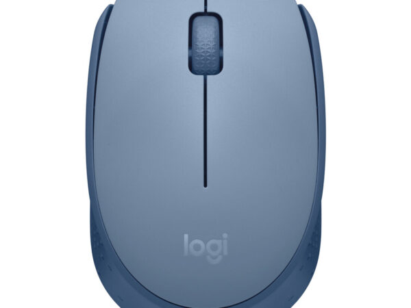 Logitech M171
