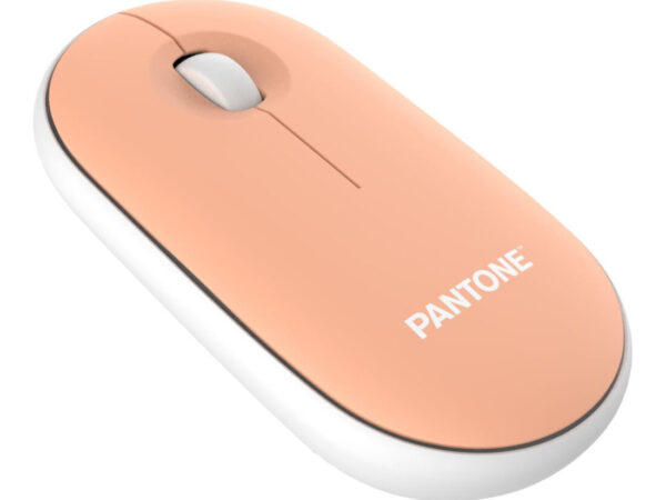 Pantone PT-MS001E mouse Casa RF Wireless Laser 100 DPI