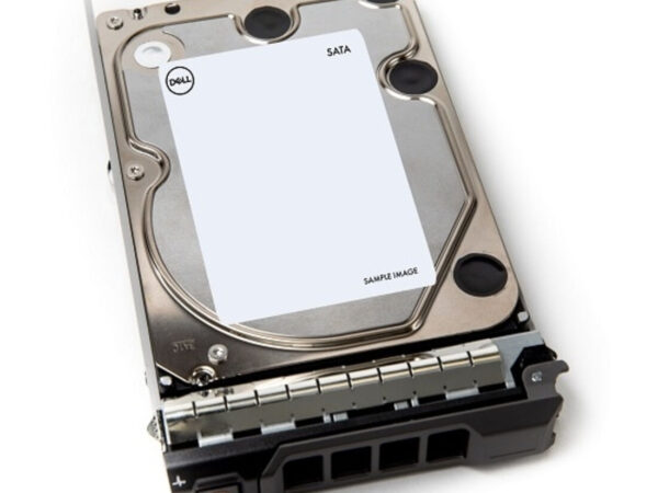 DELL 400-AEFB disco rigido interno 1 TB 7200 Giri/min 3.5" Serial ATA III