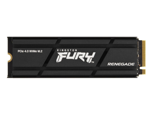 Kingston Technology 4000G RENEGADE PCIe 4.0 NVMe SSD W/ Dissipatore di calore