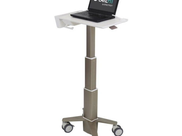 Ergotron C50-1100-0 supporto per laptop Supporto per computer portatile Grigio 39,6 cm (15.6")