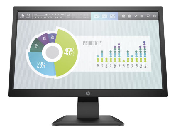 HP P204v 19.5" Monitor