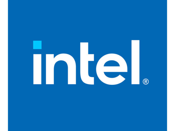 Intel Optane SSDPED1K015TA01 drives allo stato solido Half-Height/Half-Length (HH/HL) 1,5 TB PCI Express 3.0 3D XPoint NVMe
