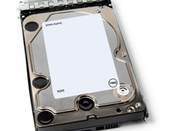 DELL 401-ABHY disco rigido interno 12 TB 7200 Giri/min 3.5" Serial ATA III
