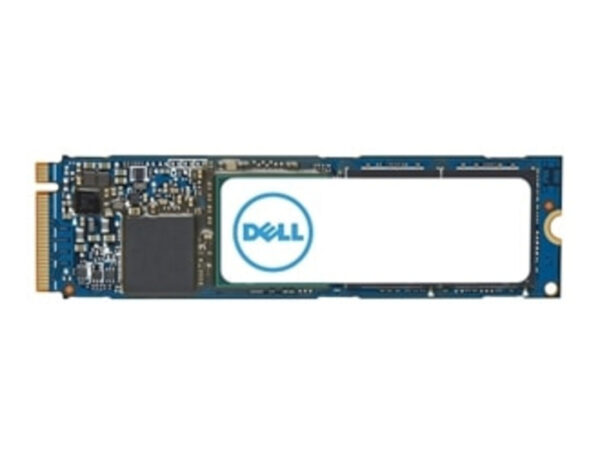 DELL AC037411 drives allo stato solido 4 TB M.2 PCI Express 4.0 NVMe