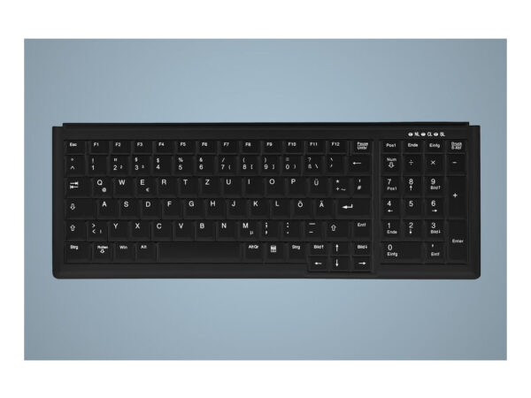 Active Key АК-7000 tastiera Industriale PS/2 QWERTY Inglese US Nero