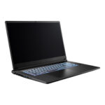 CAPTIVA 94341 laptop Intel Core i7 i7-13620H Computer portatile 43,9 cm (17.3") Full HD 16 GB DDR5-SDRAM SSD NVIDIA GeForce RTX 5060 Wi-Fi 6E (802.11ax) Tedesco Nero - immagine 4