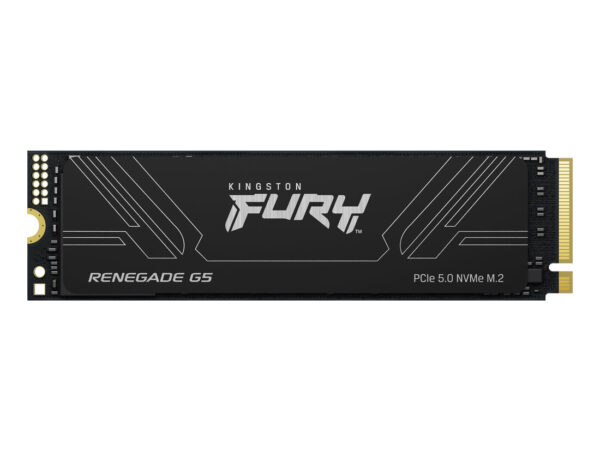 Kingston Technology 4T FURY RENEGADE G5 M.2 2280 NVMe SSD